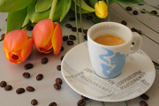 espresso a tulipán IV