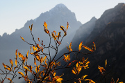 podzimní listy a Monte Agner